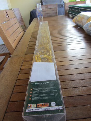 Branches lumineuses dorées neuves