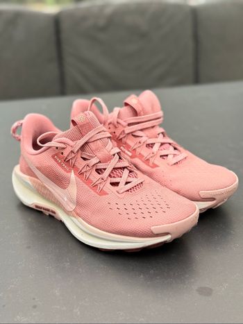 Nike Pegasus trail 5