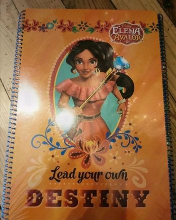 Lot de 2 grand cahier disney elena d avalor