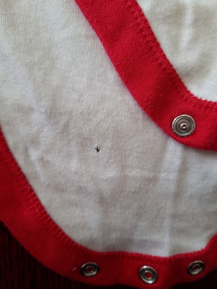 2 Bodies manches courtes fille 18-24 mois - photo numéro 3