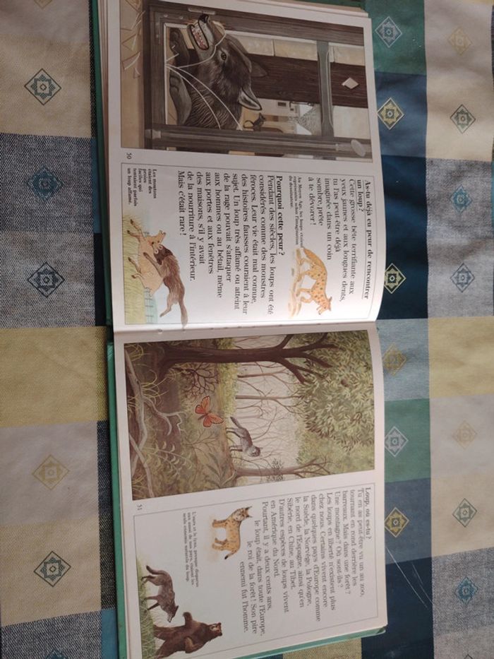 Livre sur le loup - photo numéro 15