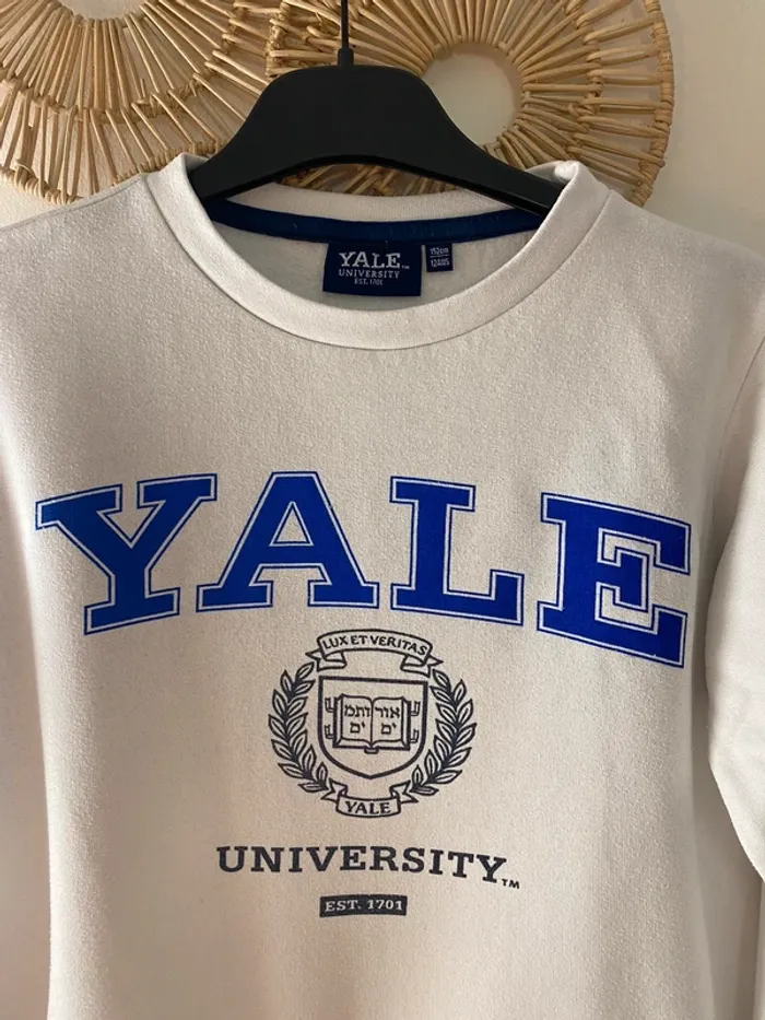 sweat Vertbaudet Yale University - Taille 12 ans - photo numéro 10