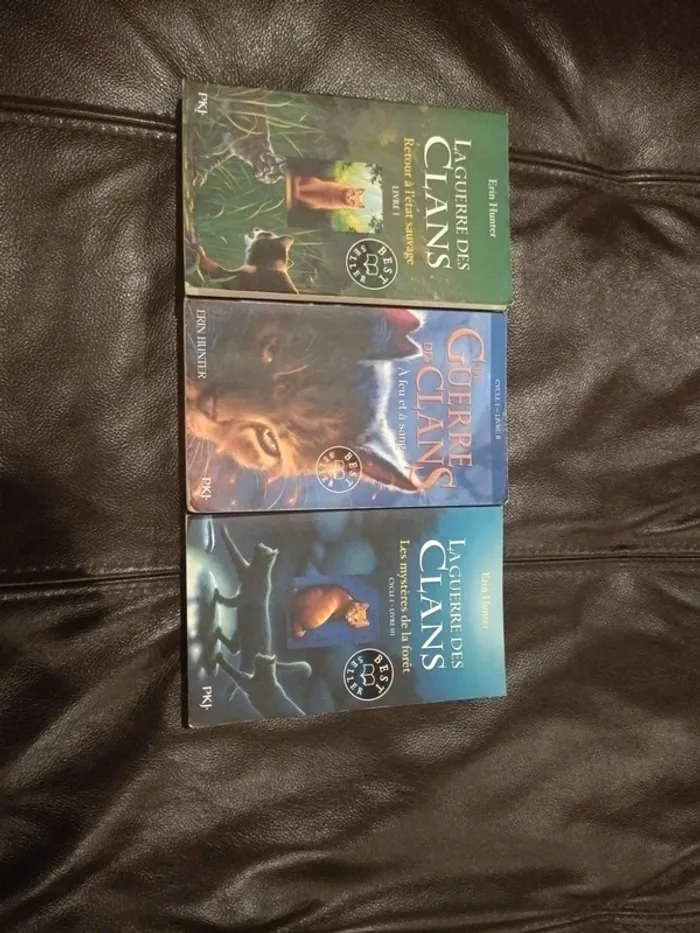 Trois premier livre la guerre des clans cycle 1