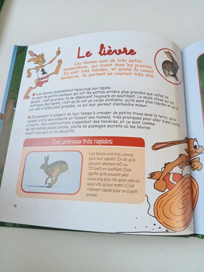 Le lièvre et la tortue - photo numéro 4