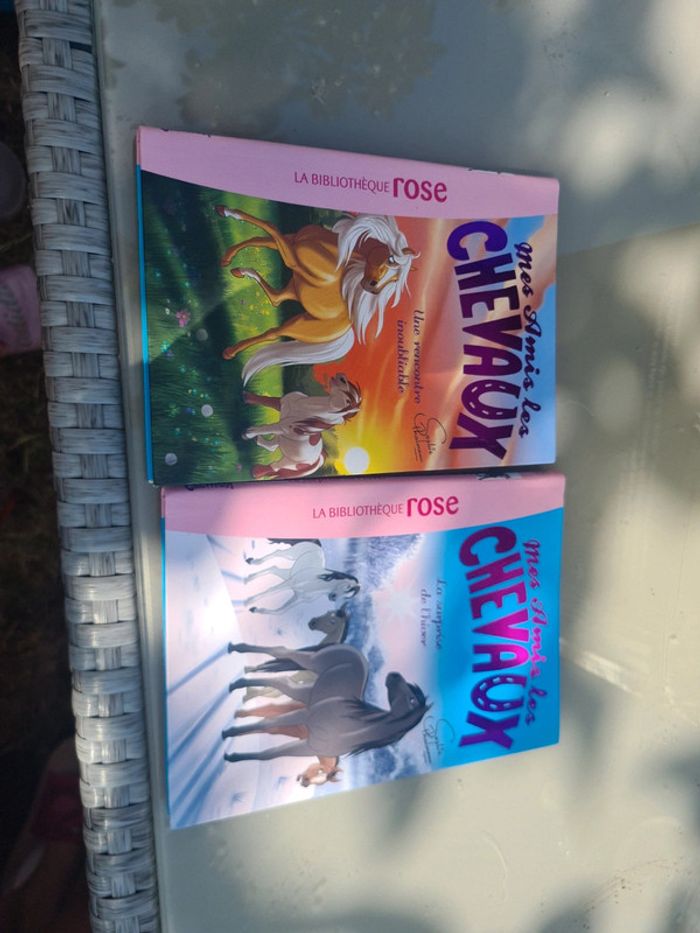 Livre mes amis les chevaux - photo numéro 3