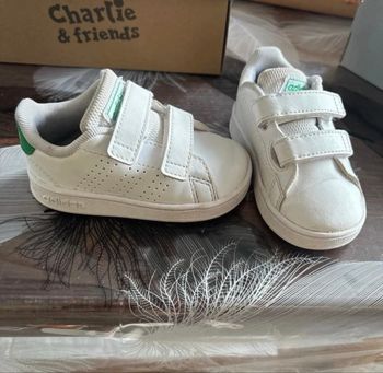 Basket adidas 
