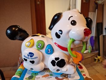 1,2,3 ptit dalmatien.