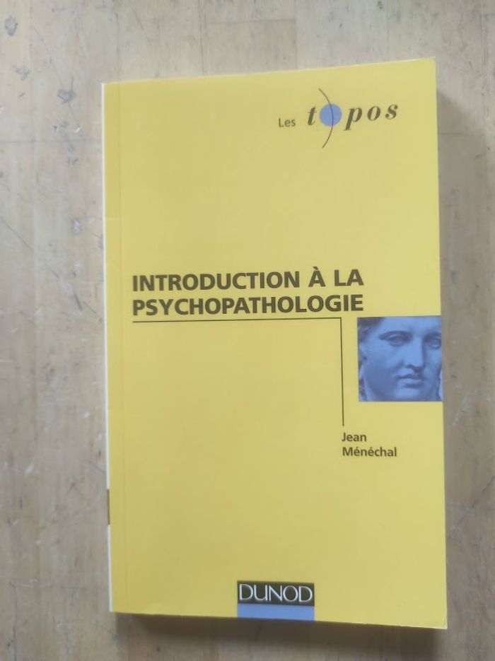 Introduction à la psychopathologie Jean Ménéchal Dunod 2002 - photo numéro 1