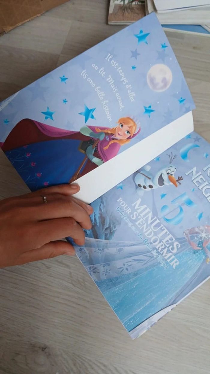 Livre la reine des neiges - photo numéro 3