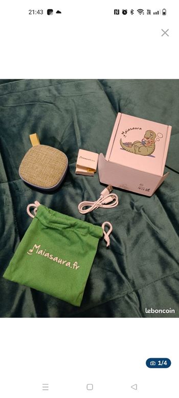 Maiasaura 200 titres 