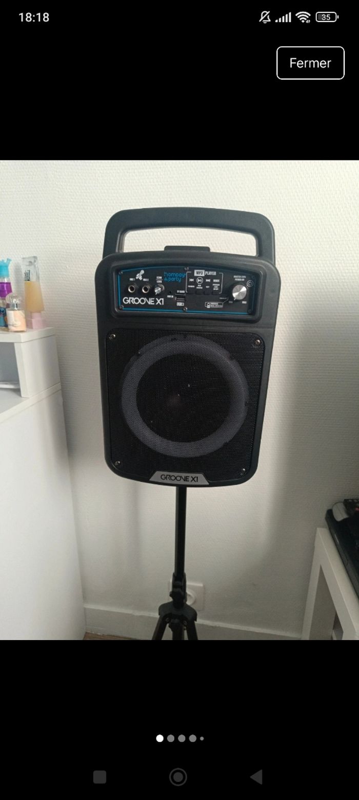 Enceinte sur pied - photo numéro 4