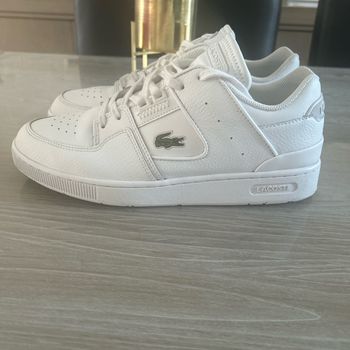 Basket Lacoste