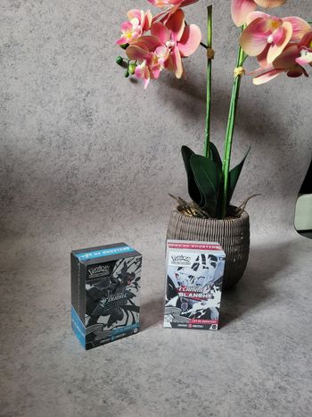 Pokémon Coffret Bundle Foudre Noire / Flamme Blanche Ev10.5 Fr