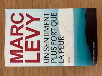 Un sentiment plus fort que la peur - Marc Levy