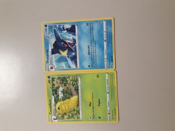Coconfort + Sharpedo lot de 2 cartes Pokémon neuves
