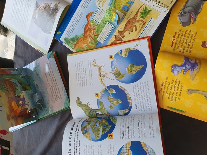 Lot livres dinosaures - photo numéro 3
