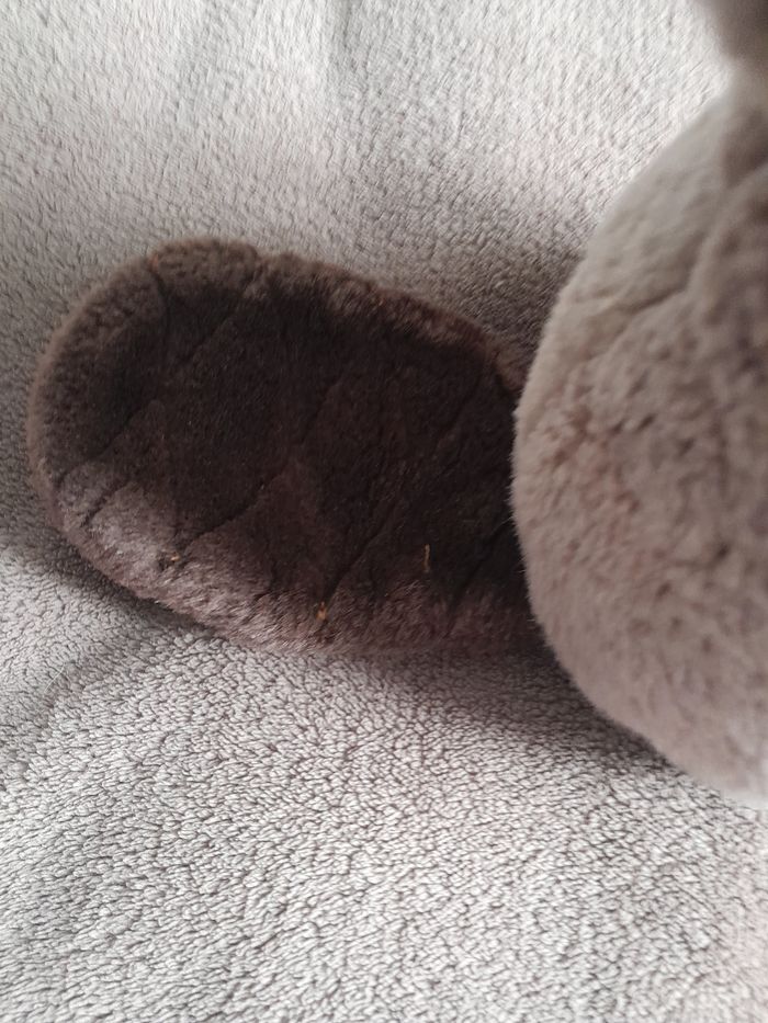 Peluche Castor JouéClub - photo numéro 4