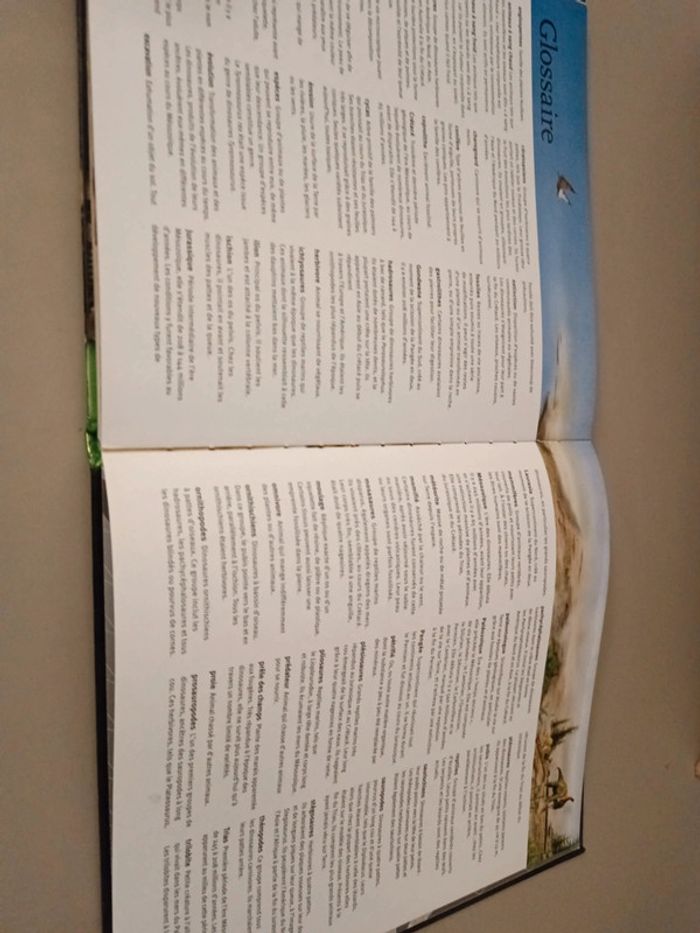 Les dinosaures à la loupe édition France loisirs - photo numéro 15