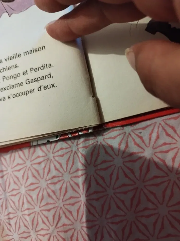 Walt Disney les 101 dalmatiens - photo numéro 10