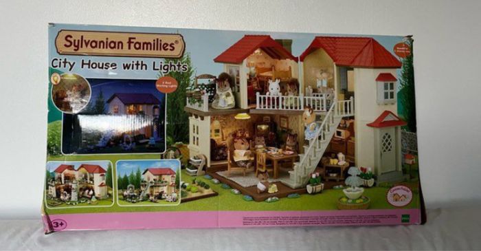 Grande maison éclairée