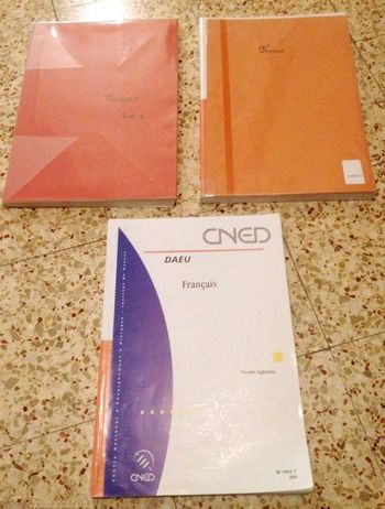 Lot livres français