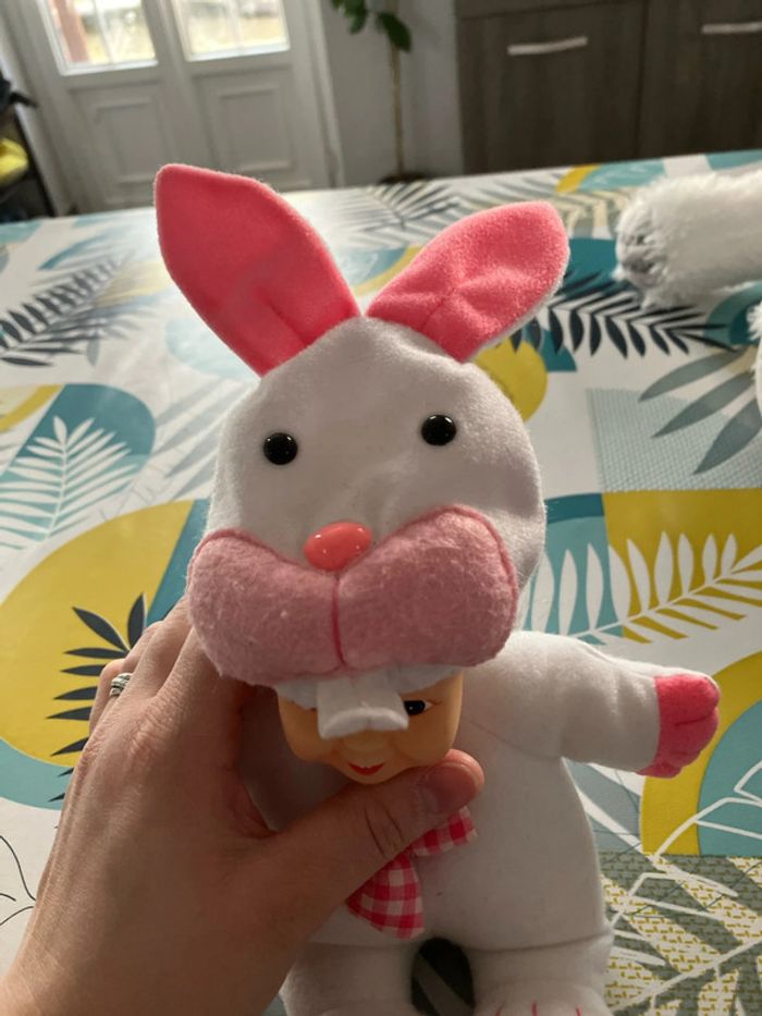 Lapin bébé - photo numéro 2