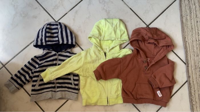 Vestes