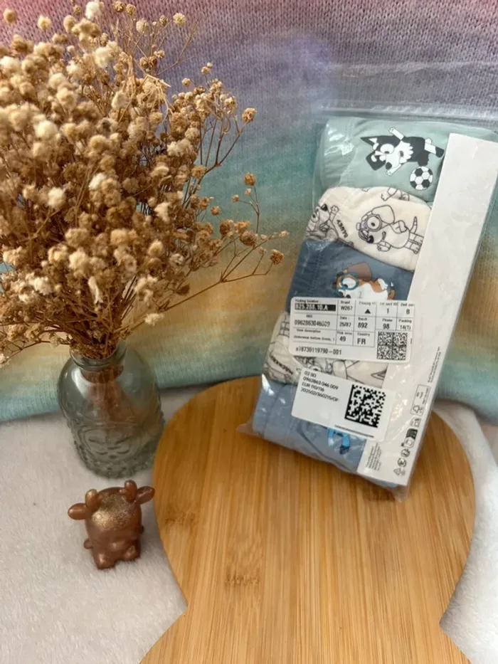 🩲 Lot de 5 slips Bluey pour enfant – Taille 4/6 ans 🩲