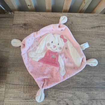 Lapin blanc et rose tex