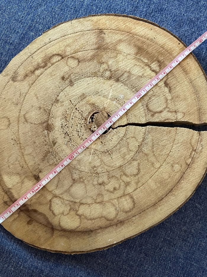 Lot de deco automne hiver bois centre de table - photo numéro 6