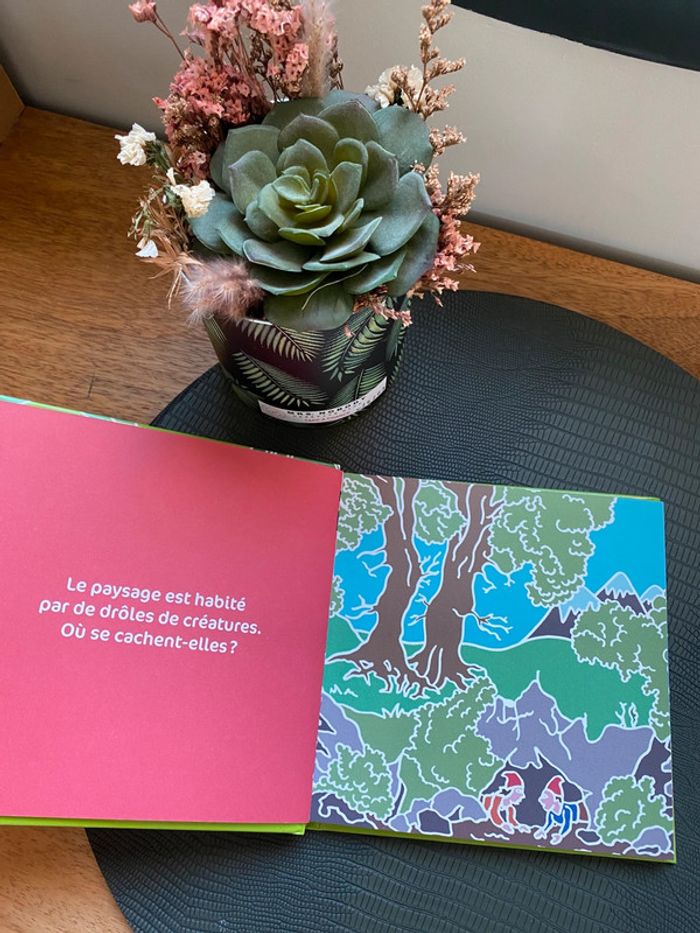 Livre enfant images cachées - photo numéro 2