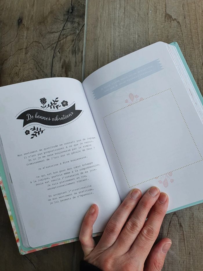 Mon Carnet de Gratitude - photo numéro 3