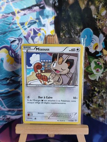 Miaouss 61/98 origines antiques