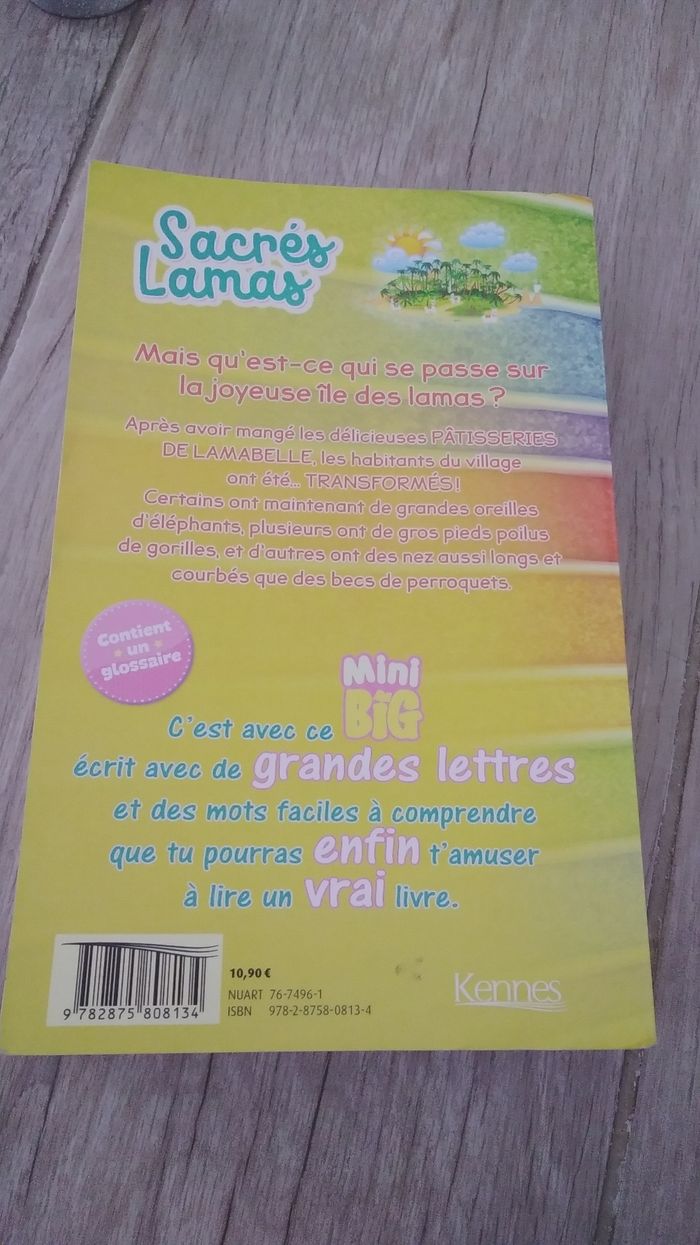 Livre sacré lama - photo numéro 3