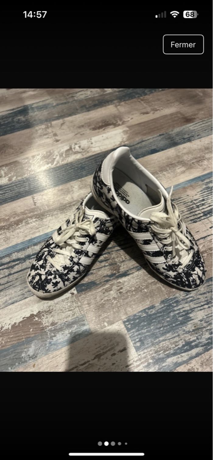 Gazelle - photo numéro 5