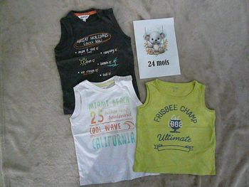 Lot de 3 débardeurs 24 mois