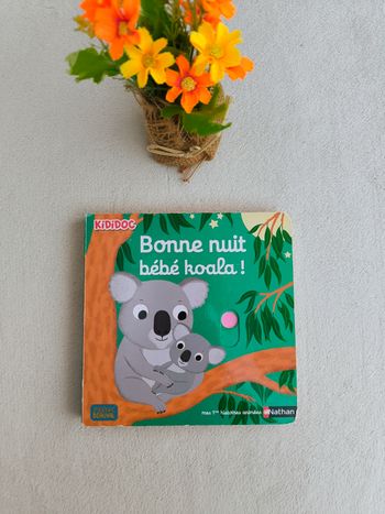 Livre Kididoc Bonne nuit bébé koala Nathan