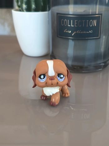 Littlest Pet Shop #729
Brown and white St. Bernard dog
