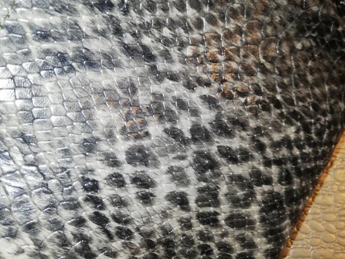 Sac serpent - photo numéro 19