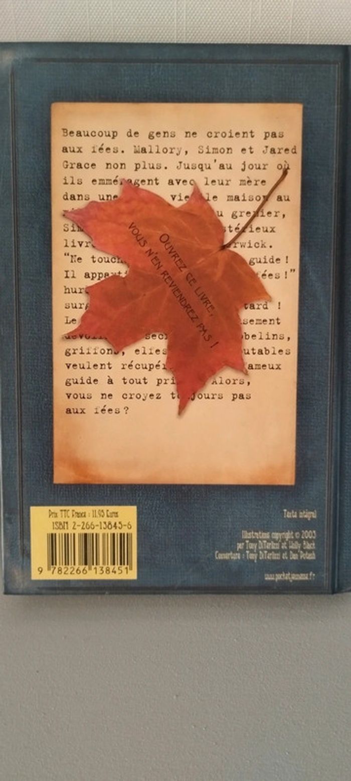 Les chroniques de Spiderwick - photo numéro 2