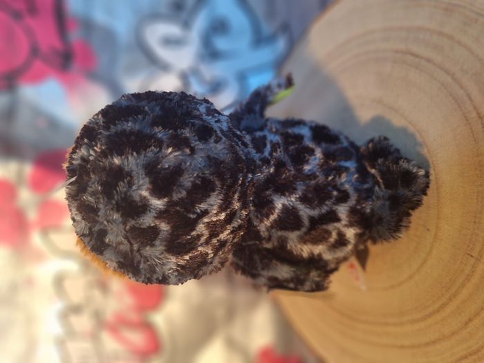 Peluche de collection Ty Beanie Midnight the Orange et Green Owl - photo numéro 4