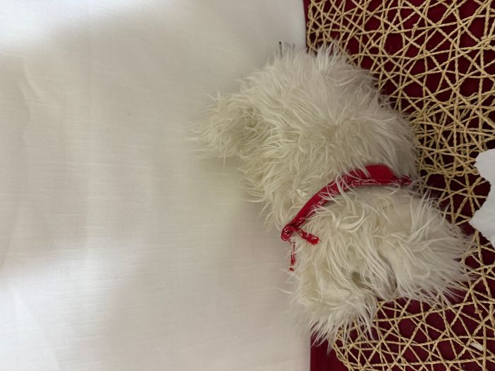 young peopple's shop doudou chien terrier - photo numéro 6