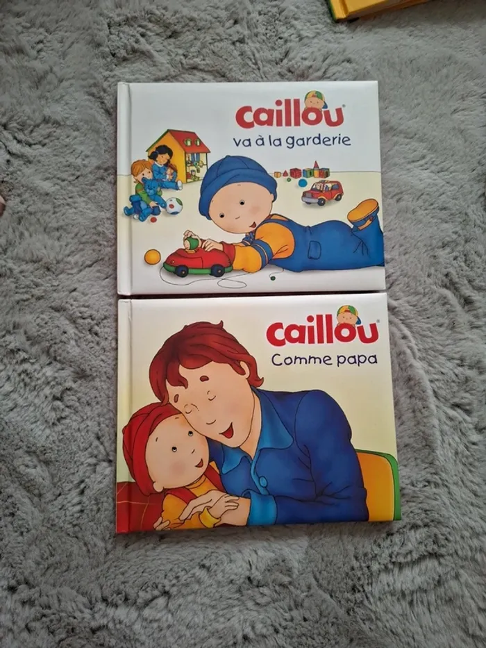 Lot de 2 livres "Caillou"