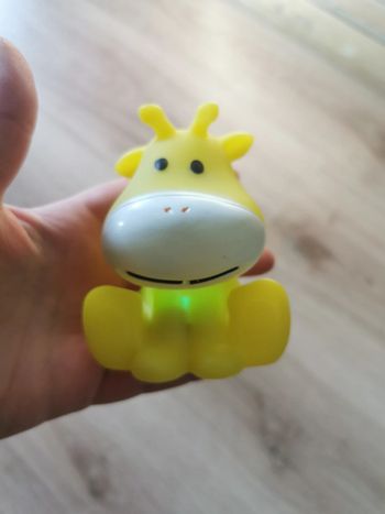 Animal Jouet lumineux de bain