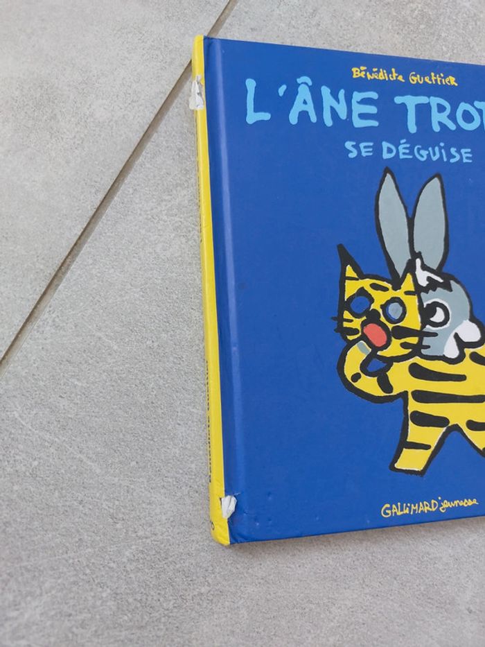 L'âne trotro se déguise - photo numéro 2