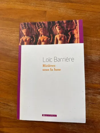 Livre rizières sous la lune