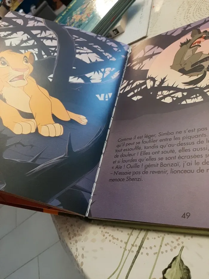 Gros livre disney le roi lion - photo numéro 8