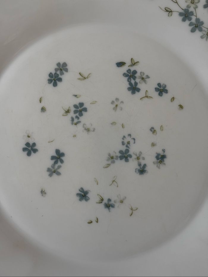 Vintage lot de 5 assiettes plates Arcopal véronica myosotis - photo numéro 9