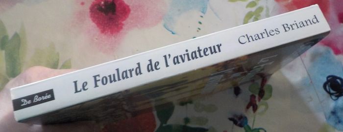 Le Foulard de l'aviateur de Charles Briand Ed. de Borée - photo numéro 4