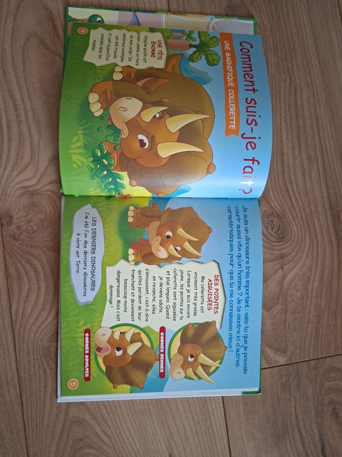 Livre dinosaure - photo numéro 4